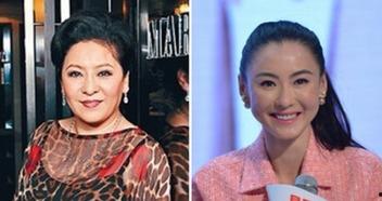 最新张柏芝八卦爆料新闻,揭秘她背后的惊人真相